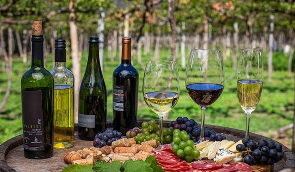 DE GARANHUNS PARA O MUNDO: Vinho da vinícola Vale das Colinas é um dos finalistas do Prêmio CNA Brasil Artesanal 2023